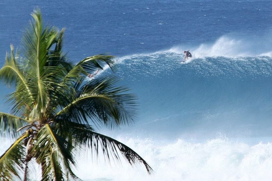 Tres Palmas Rincón surfing