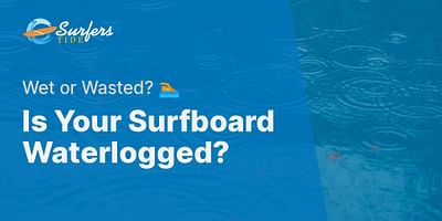 Is Your Surfboard Waterlogged? - Wet or Wasted? 🏊