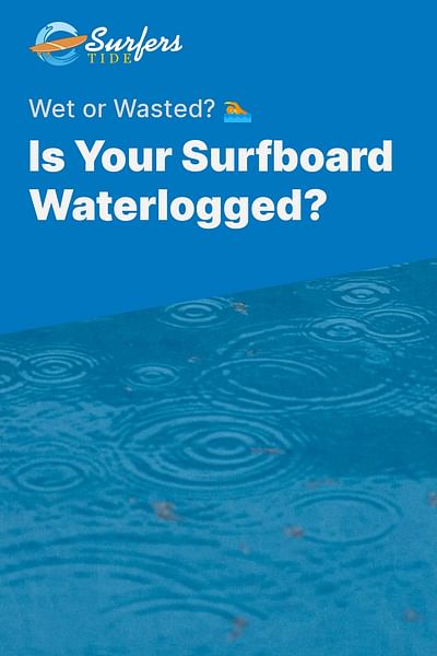 Is Your Surfboard Waterlogged? - Wet or Wasted? 🏊